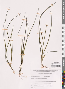 MAG 0014867