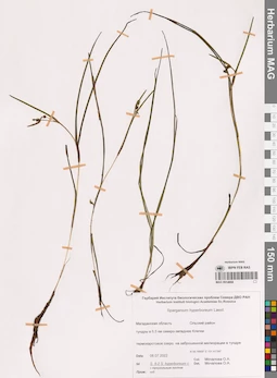 MAG 0014868