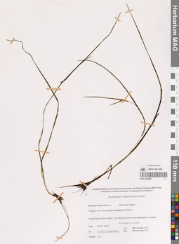 MAG 0014869