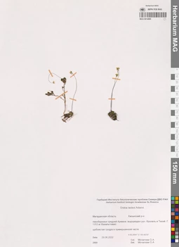 MAG 0014880