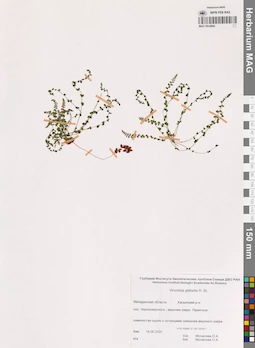 MAG 0014900