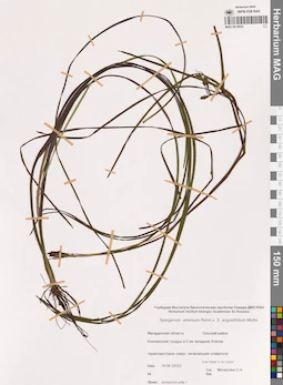 MAG 0014923