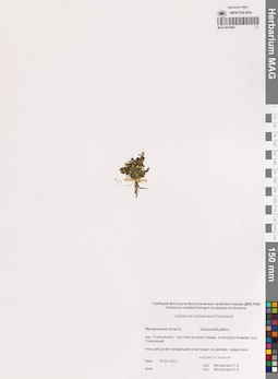 MAG 0014983