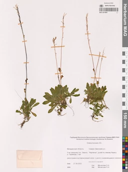 MAG 0014994