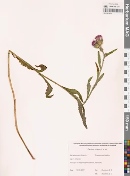 MAG 0016070
