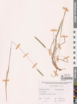 MAG 0008455