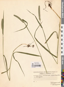 MAG 0004657