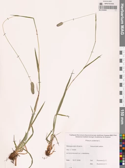 MAG 0004664