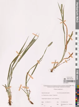 MAG 0004673