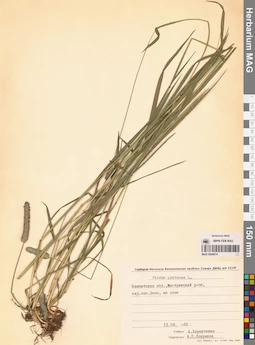 MAG 0004674