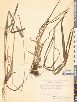 MAG 0004679