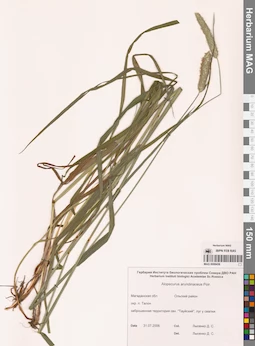 MAG 0008436