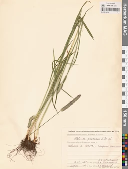 MAG 0016078