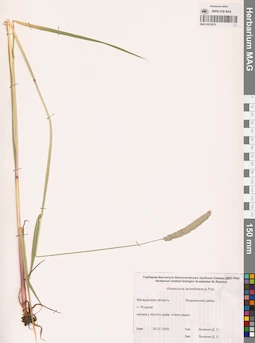 MAG 0016079
