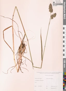 MAG 0004567