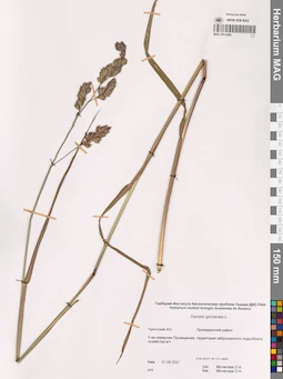 MAG 0014289