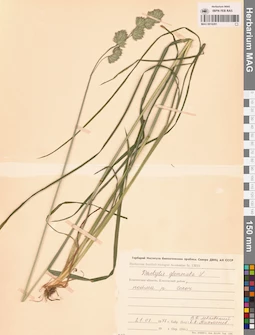 MAG 0016281