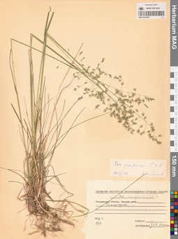 MAG 0016287