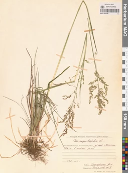 MAG 0016288