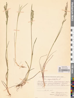 MAG 0016289