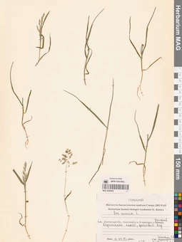 MAG 0004642