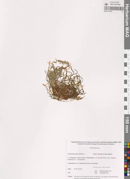 MAG 0012281