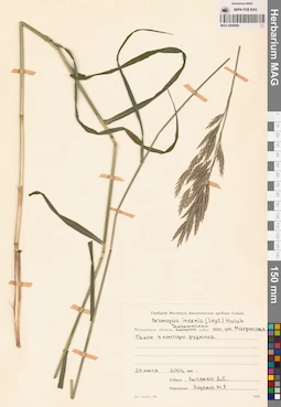 MAG 0008899