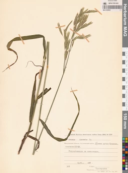 MAG 0008901