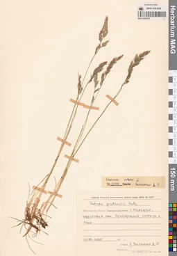MAG 0004572