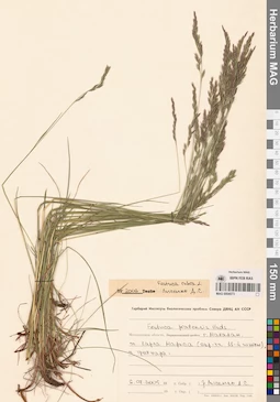 MAG 0004573