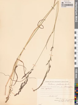 MAG 0004580