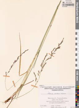 MAG 0004589