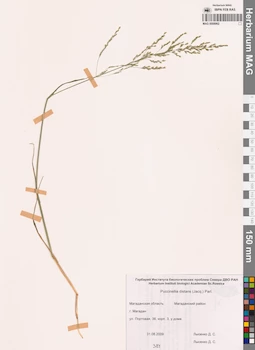 MAG 0008962