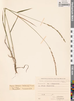 MAG 0008949