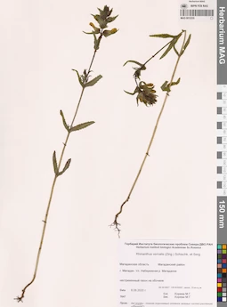 MAG 0012235