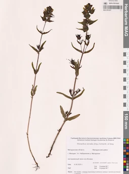 MAG 0012237