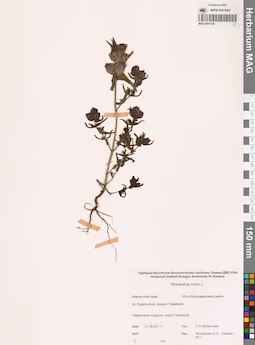 MAG 0016106