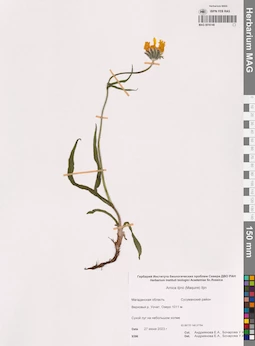 MAG 0016149