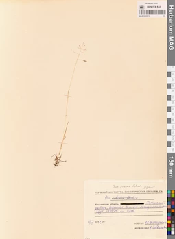 MAG 0008512