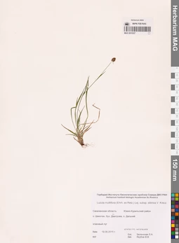 MAG 0010327