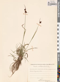 MAG 0008982