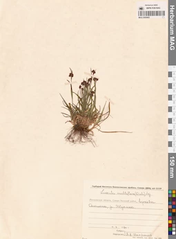 MAG 0009483
