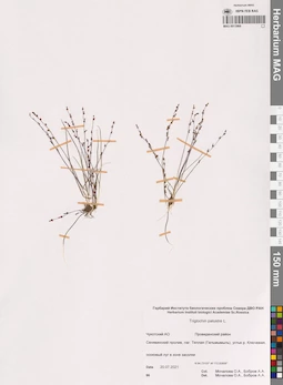 MAG 0013966