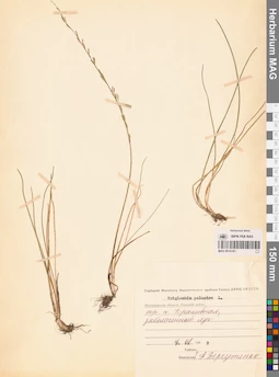 MAG 0016181