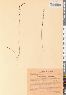 MAG 0016190