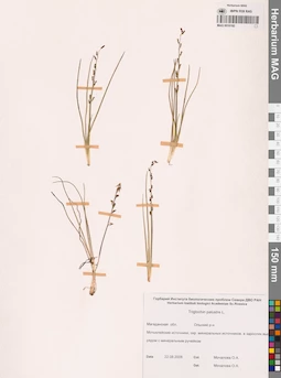 MAG 0016192