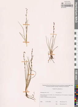 MAG 0016193