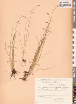 MAG 0016194