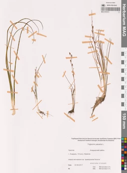 MAG 0016214
