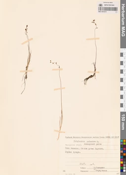 MAG 0016218